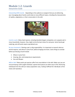 Module 1.2: Lizards - The Maryland Zoo in Baltimore