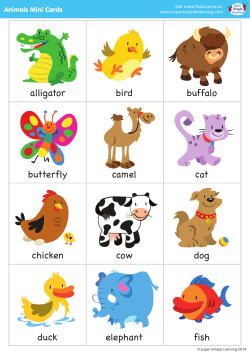 bird buffalo alligator camel cat butterfly cow dog chicken elephant