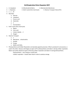 Cell Respiration Notes Organizer KEY 1. A. Cytoplasm B