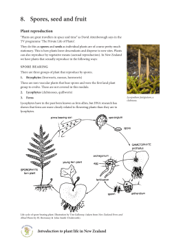 8. Spores, seed and fruit - New Zealand Plant Conservation Network