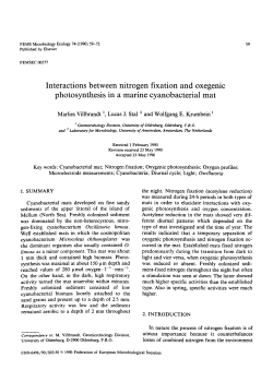 Interactions between nitrogen fixation and oxegenic photosynthesis