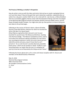 The Process of Writing: an Author`s Perspective