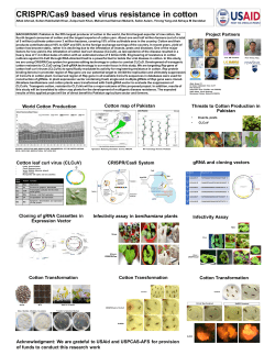 CRISPR/Cas9 based virus resistance in cotton