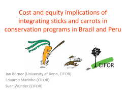 Cost and equity implications of integrating sticks and carrots in