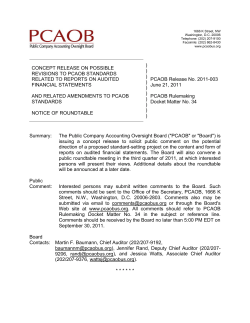 CONCEPT RELEASE ON POSSIBLE REVISIONS TO PCAOB