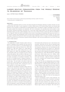 Larger benthic foraminifera from the Middle Eocene to Oligocene of