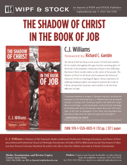 the shadow of christ in the book of job