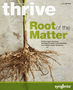of the - Syngenta US