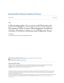 Lithostratigraphic Succession and Depositional Dynamics of the