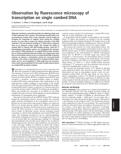 Observation by fluorescence microscopy of transcription on single