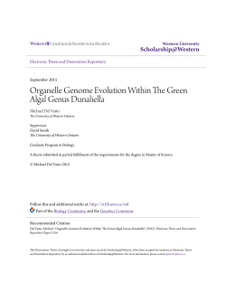 Organelle Genome Evolution Within The Green Algal Genus