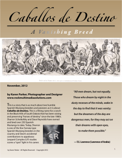 Caballos de Destino - Spanish Mustang Foundation