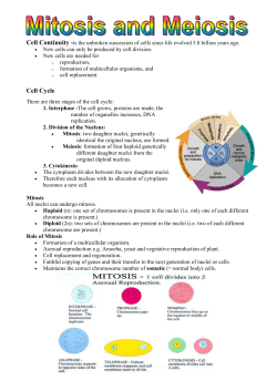 Cell Cycle - Biology Mad