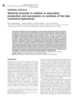 Bacterial diversity in relation to secondary production and