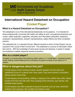 Cricket Players - Illinois Center for Injury Prevention