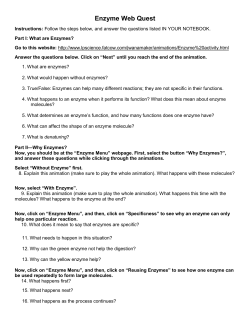 Enzyme Web Quest