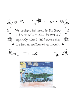 Discovering Alligators and Crocodiles