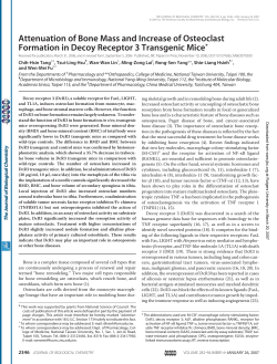 Attenuation of Bone Mass and Increase of Osteoclast