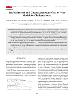 Establishment and Characterization of an In Vitro Model for