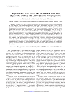 Experimental West Nile Virus Infection in Blue Jays (Cyanocitta