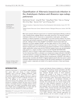 Quantification of Alternaria brassicicola infection in the Arabidopsis