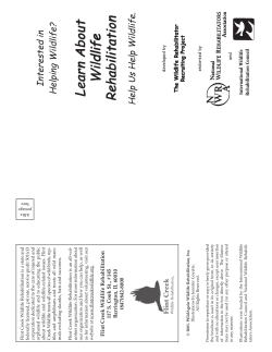 Learn About Wildlife Rehabilitation - Flint Creek Wildlife Rehabilitation