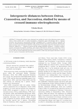 Intergeneric distances between Ostrea, Crassostrea, and