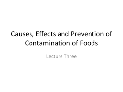 Causes, Effects and Prevention of Contamination of Foods