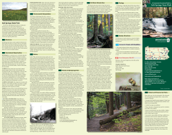 Salt Springs State Park