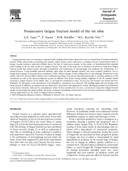 Noninvasive fatigue fracture model of the rat ulna