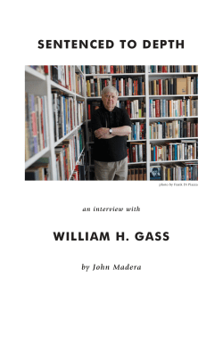 sentenced to depth william h. gass