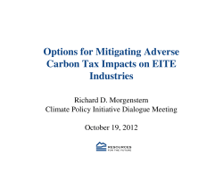 Options for Mitigating Adverse Carbon Tax Impacts on EITE Industries