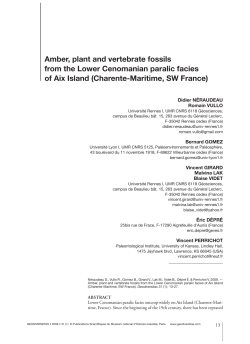 Amber, plant and vertebrate fossils from the Lower Cenomanian