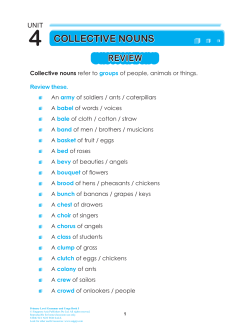 4 collective nouns - Singapore Asia Publishers