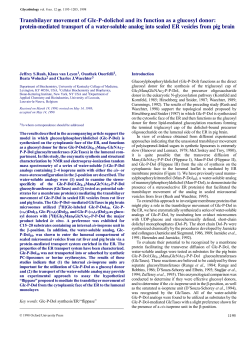 Transbilayer movement of Glc-P-dolichol and its