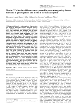 Murine NIMA-related kinases are expressed in patterns