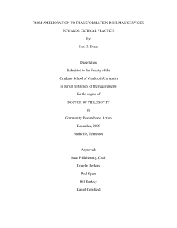 From Amelioration to Transformation in Human Services: Towards