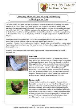 Choosing Your Chickens, Picking Your Poultry or