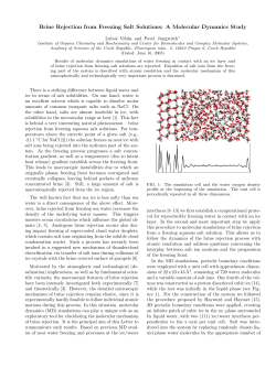 Brine Rejection from Freezing Salt Solutions: A Molecular Dynamics
