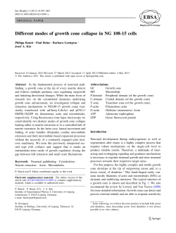 Different modes of growth cone collapse in NG 108