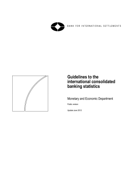 Guidelines to the international consolidated banking statistics