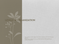 Levels of Organization - Kyrene School District