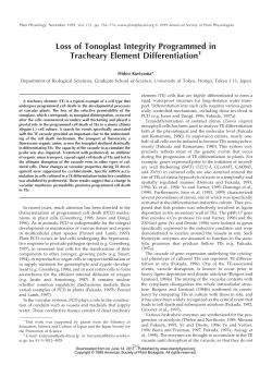 Loss of Tonoplast Integrity Programmed in