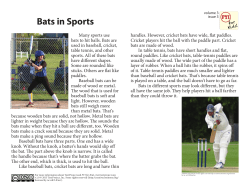 Bats in Sports