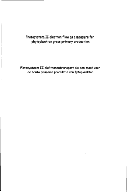 Photosystem I I electron flowas ameasure for phytoplankton gross