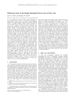 Pleistocene loess in the humid sub