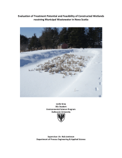 Evaluation of Treatment Potential and Feasibility of Constructed