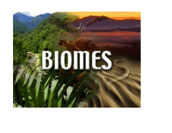 Biome - cloudfront.net