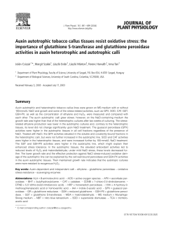 Auxin autotrophic tobacco callus tissues resist oxidative