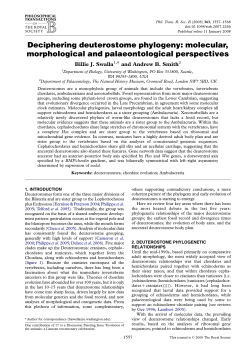 Deciphering deuterostome phylogeny